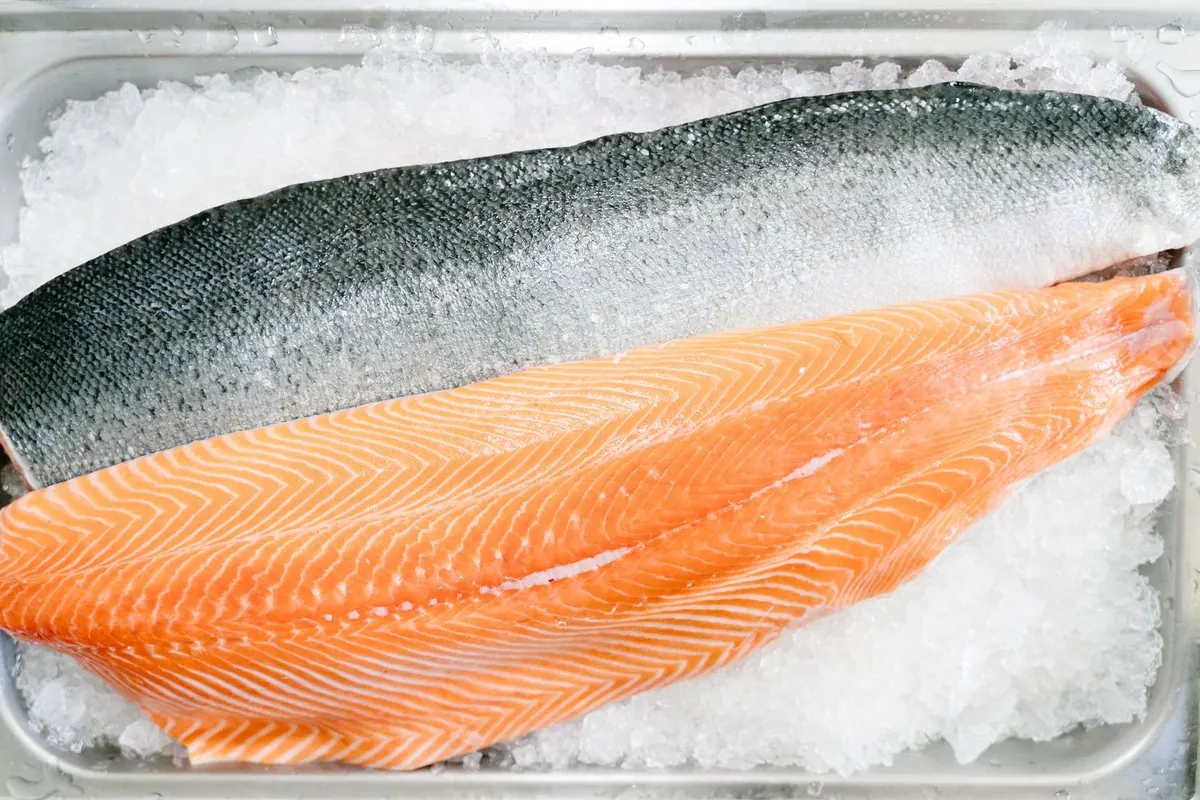 A fresh skin-on salmon fillet on ice