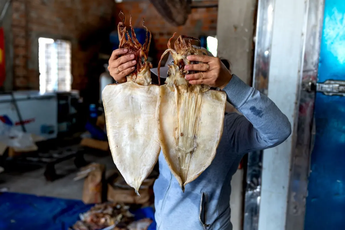 Mực khô tại cơ sở chế biến