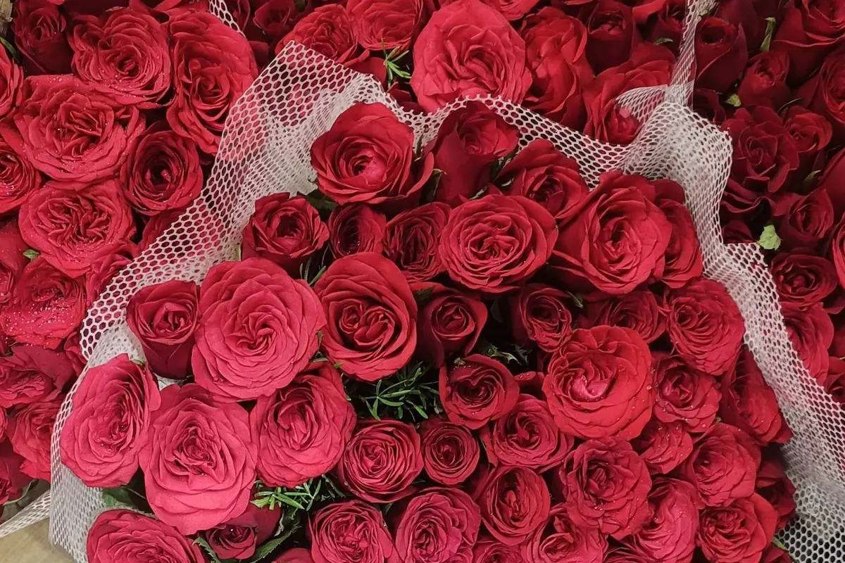 Nhiều bó hoa hồng đỏ bọc lưới xếp sát nhau