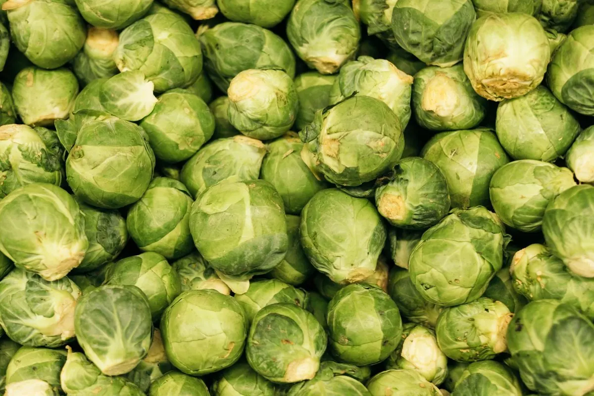 A heap of fresh green Brussels sprouts seen from above