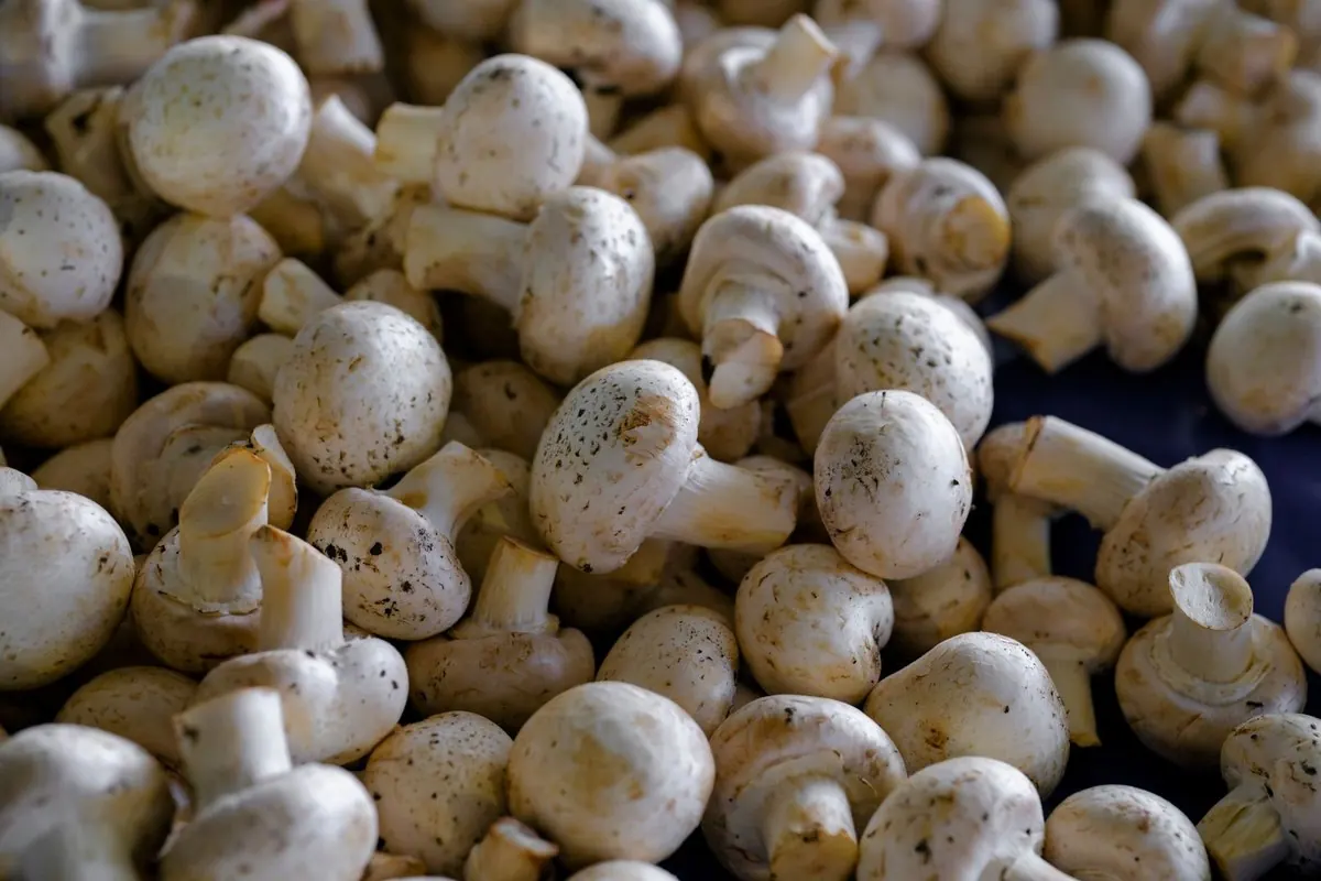A pile of fresh white button mushrooms at a market