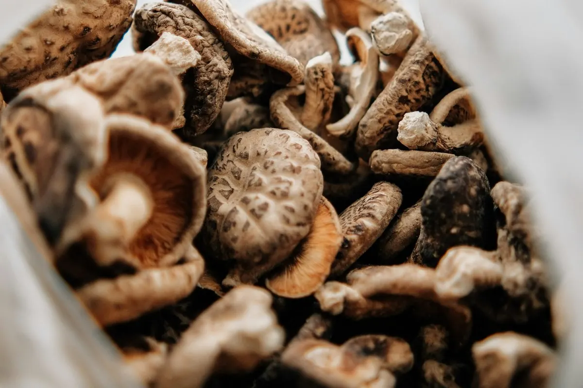 Dried shiitake mushrooms in a plastic bag