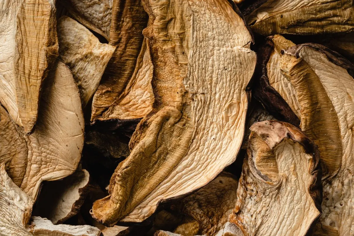 Close-up of dried porcini mushroom slices