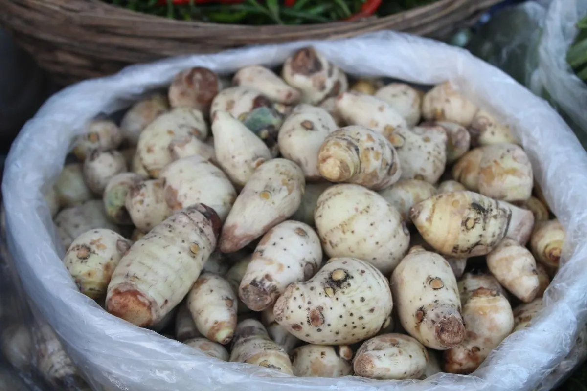 Bao nilon đầy củ khoai sọ tươi bày bán ở chợ