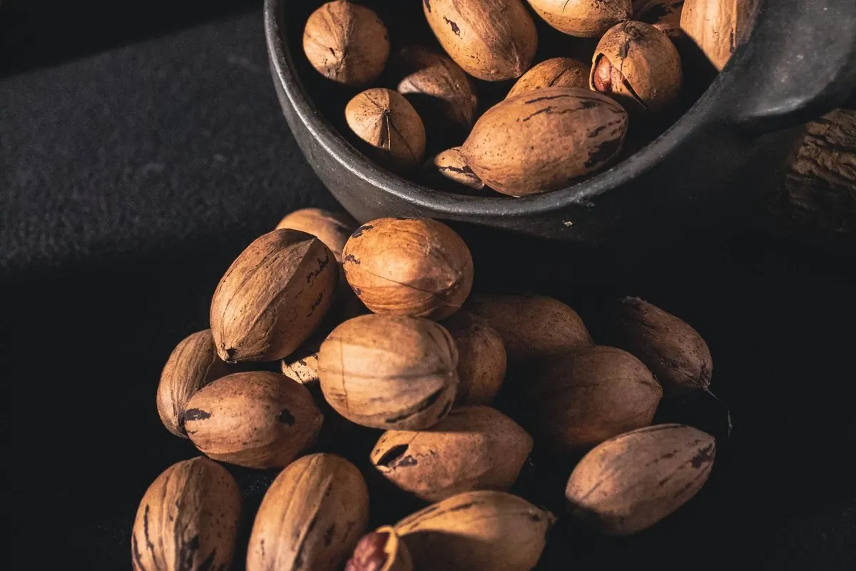 Pecans in the shell spilling from a black pot