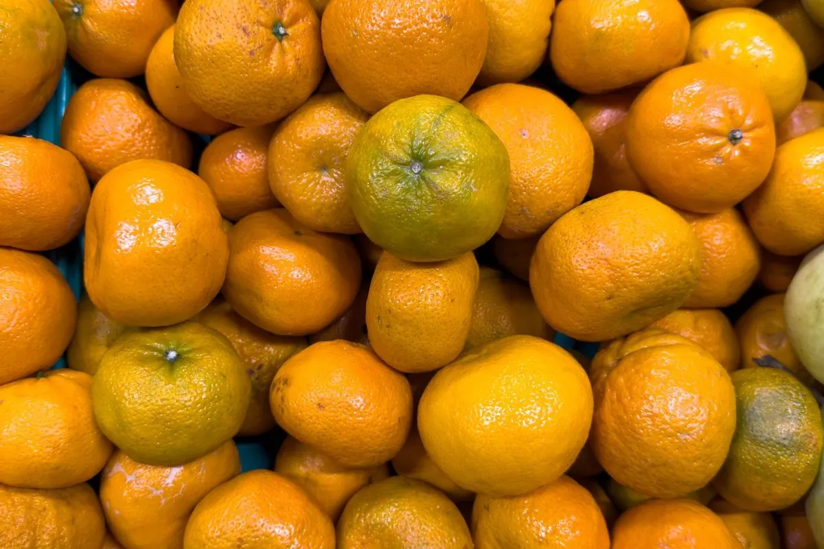 Fresh tangerines piled at a market
