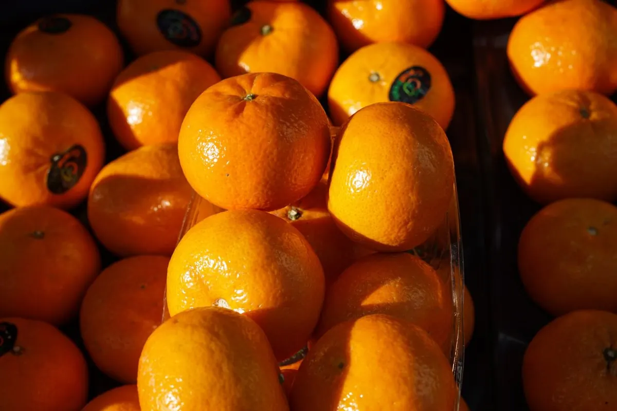 Clementines stacked at a market in Paris