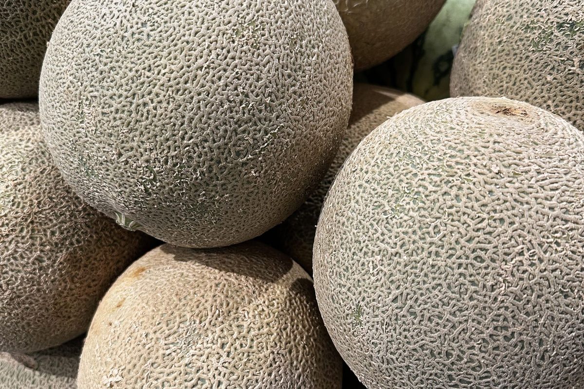 Netted cantaloupe melons piled at a market