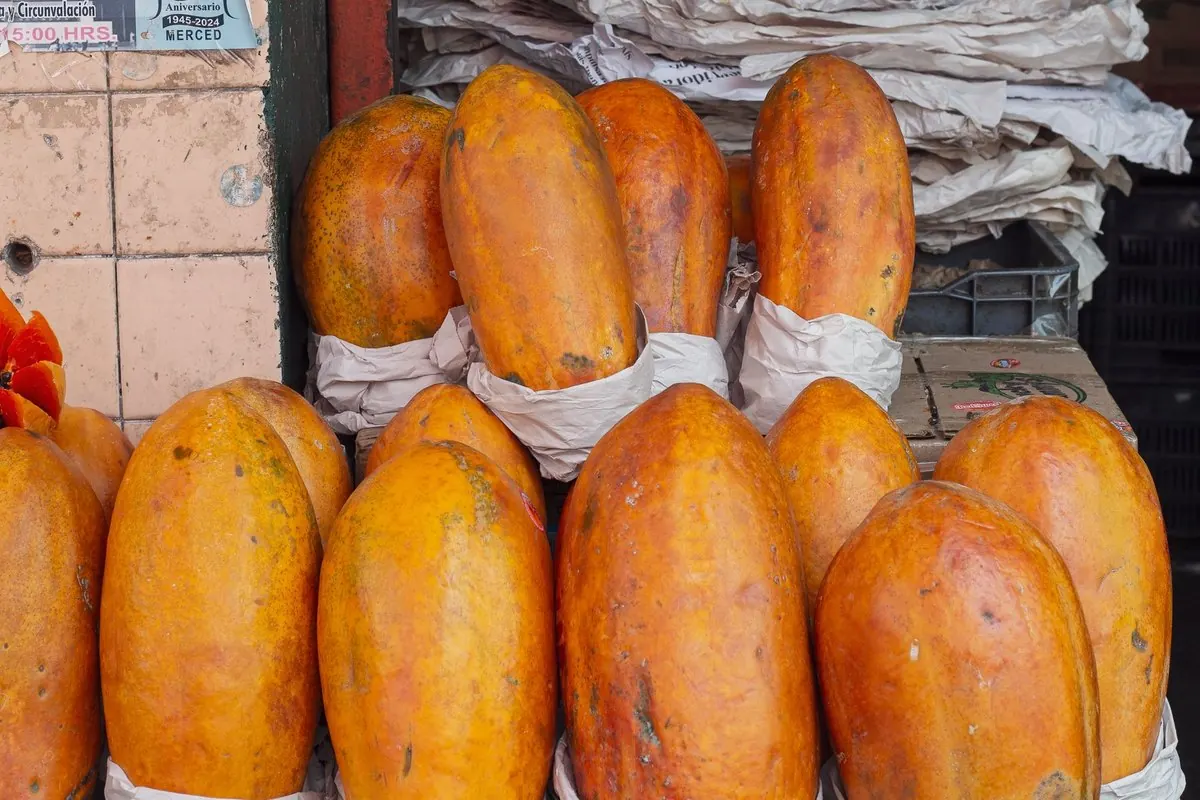 Ripe papayas lined up in front of a market stall