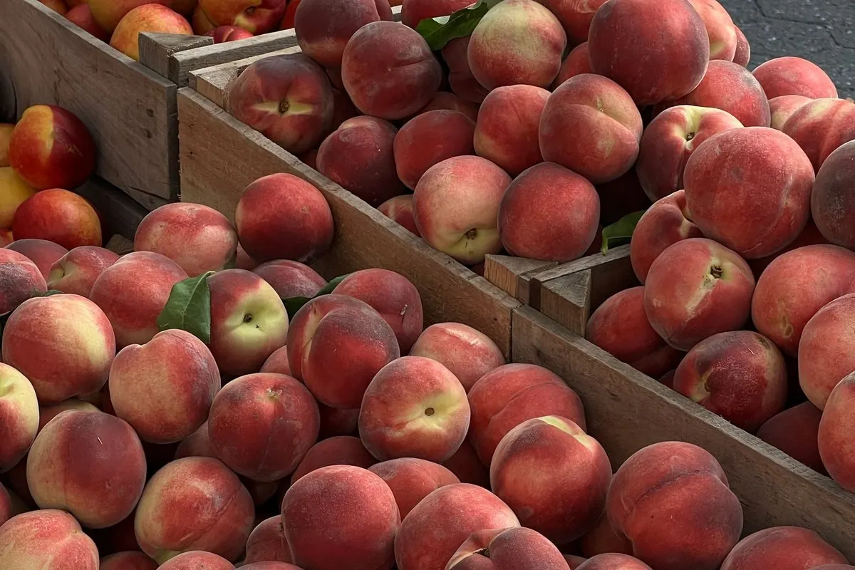 Ripe peaches in wooden crates at a market