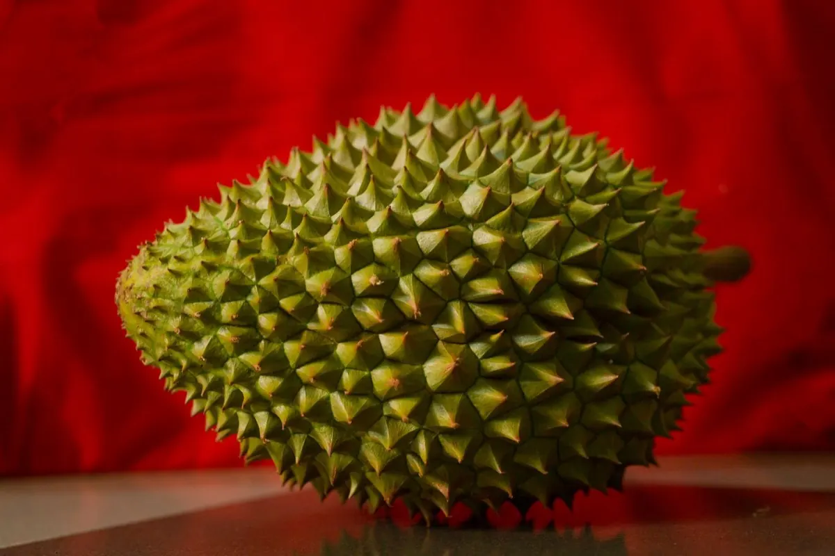 Quả sầu riêng nguyên trái