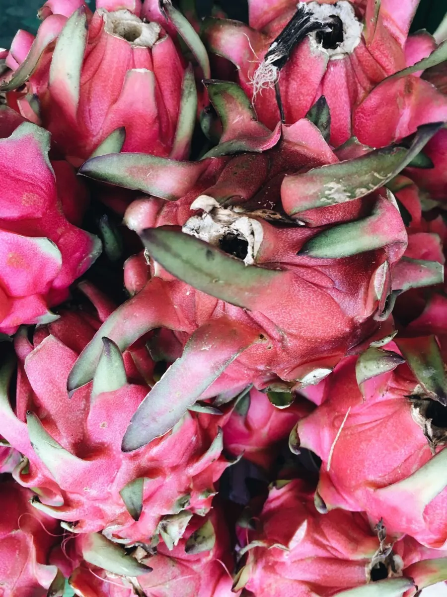 White flesh dragon fruit stacked up