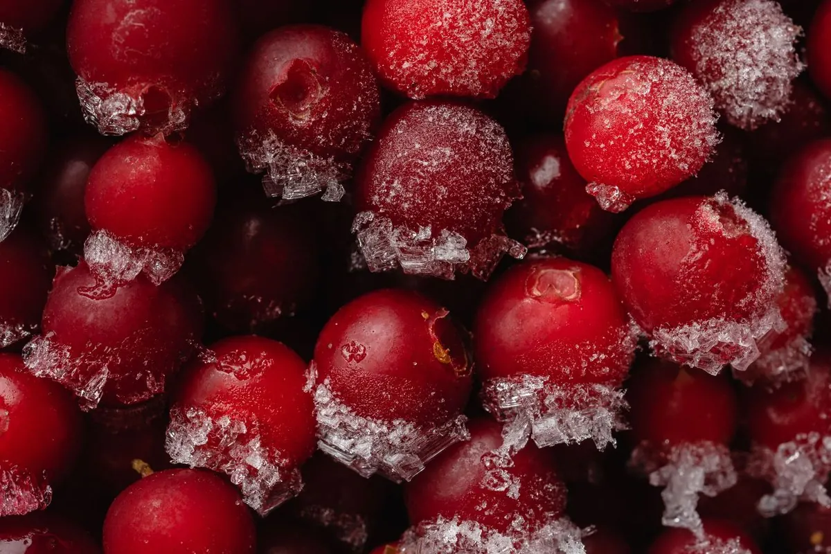 Close-up of frozen red cherries covered in ice crystals