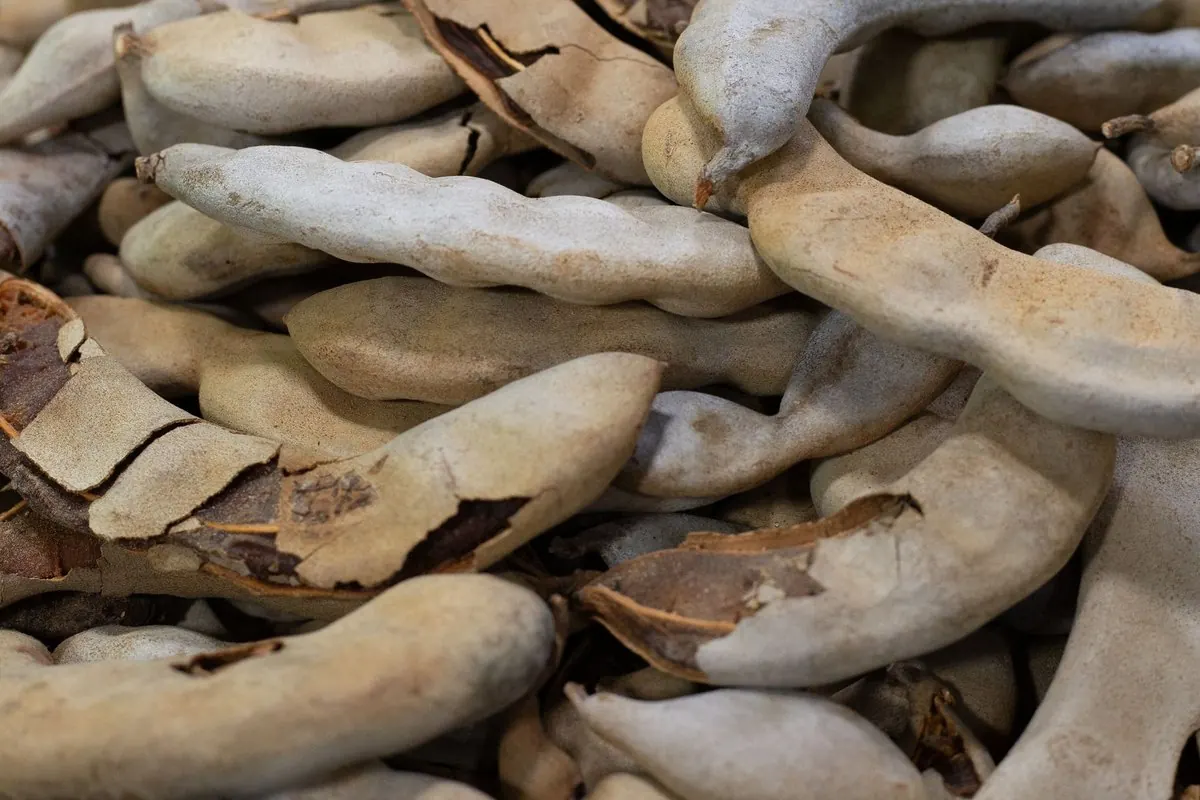 Đống quả me nguyên vỏ bày bán ở chợ