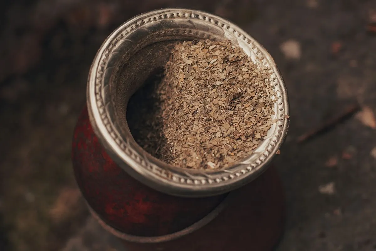 Bầu uống mate đựng đầy lá chè mate khô xay vụn