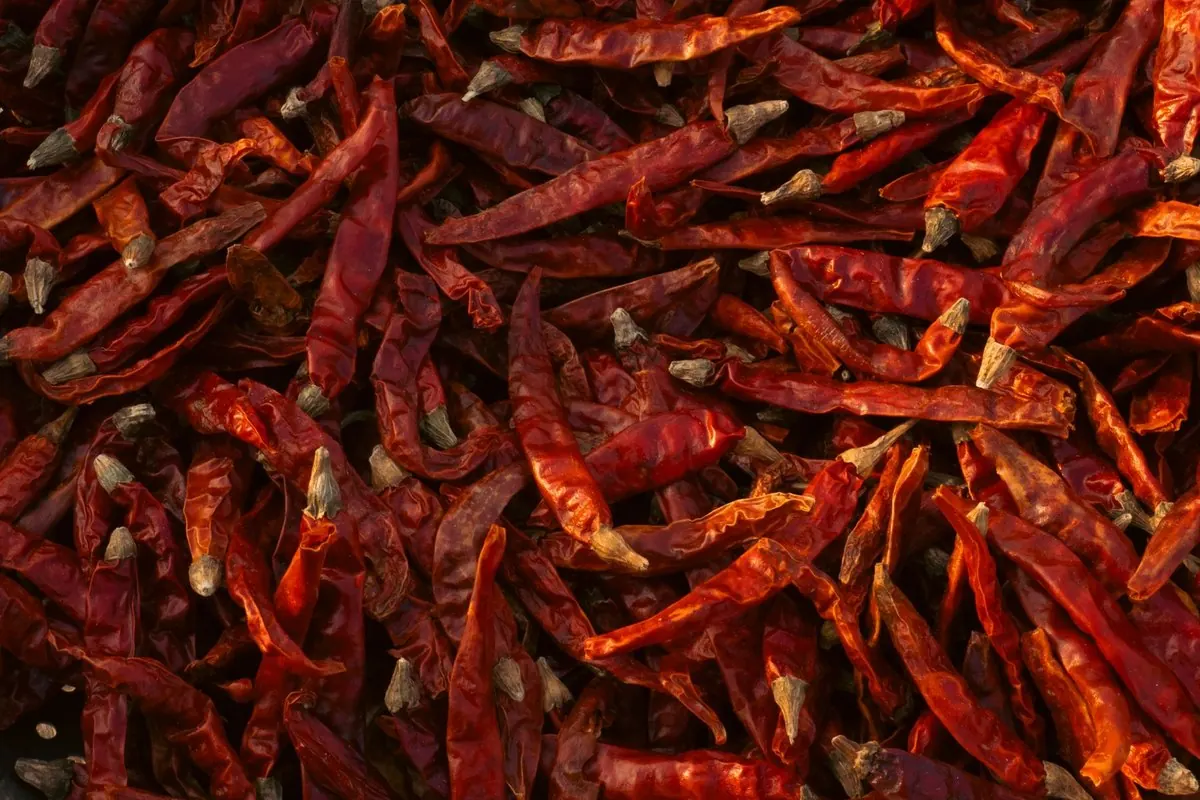 Đống ớt đỏ phơi khô nguyên quả