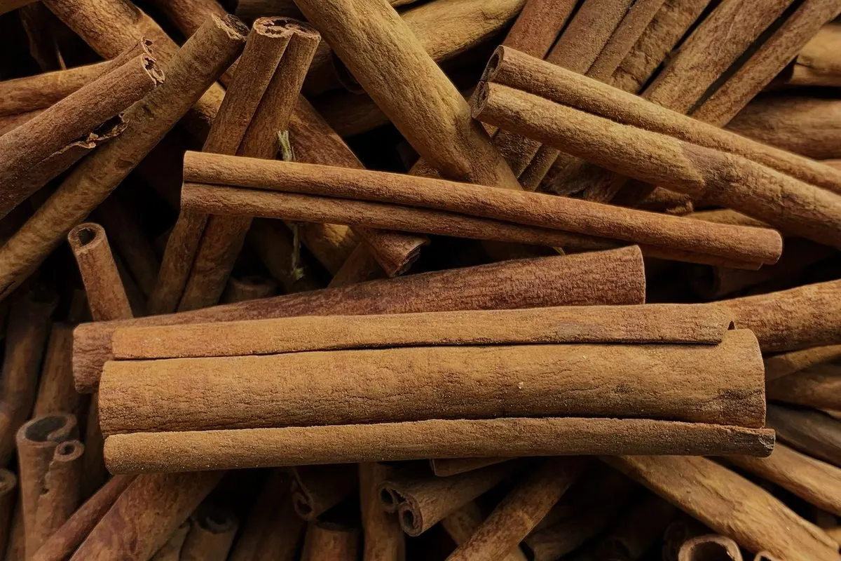 Đống quế khúc cuộn tròn màu nâu