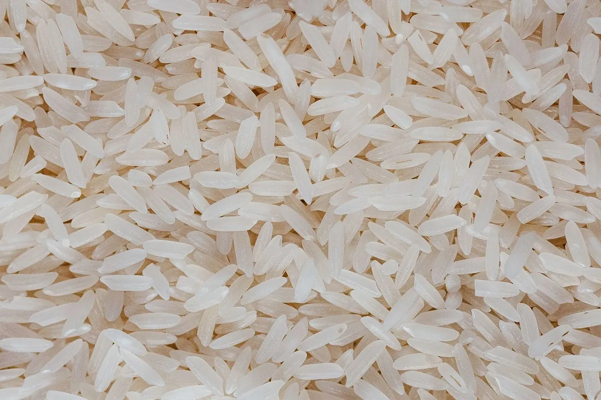 Cận cảnh hạt gạo trắng hạt dài đã xát