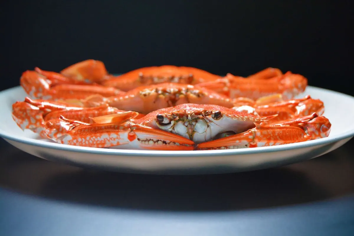 Steamed orange crabs arranged on a white plate
