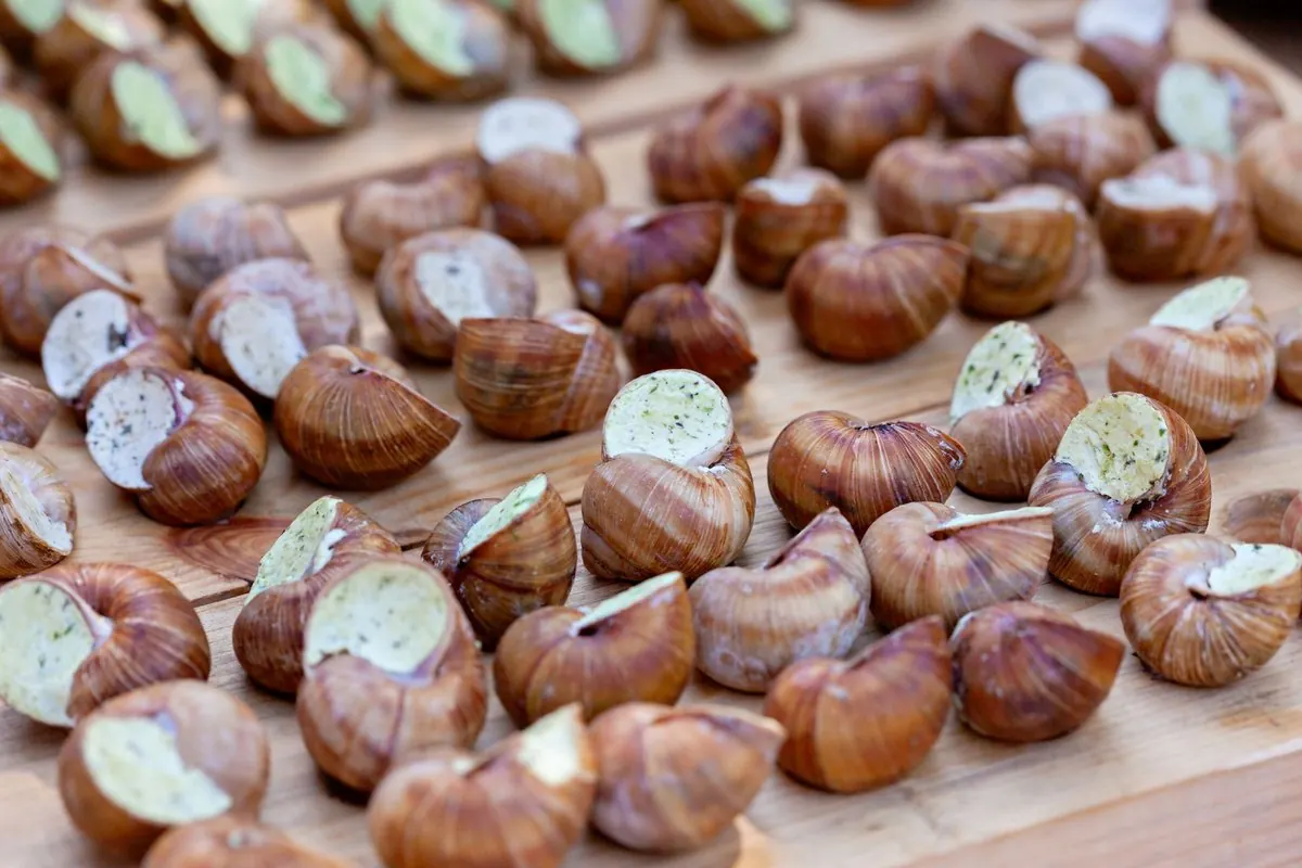 Snails stuffed with herb butter laid out on a wooden board