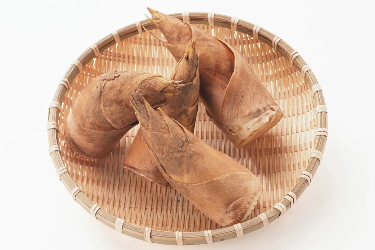 A few bamboo shoots in their husks in a woven bamboo basket