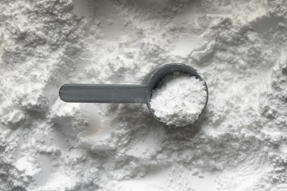 Grey plastic scoop of white creatine monohydrate powder on a heap of powder