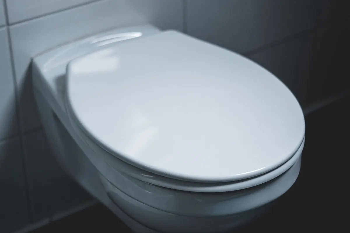 White wall-hung toilet with its seat and lid closed