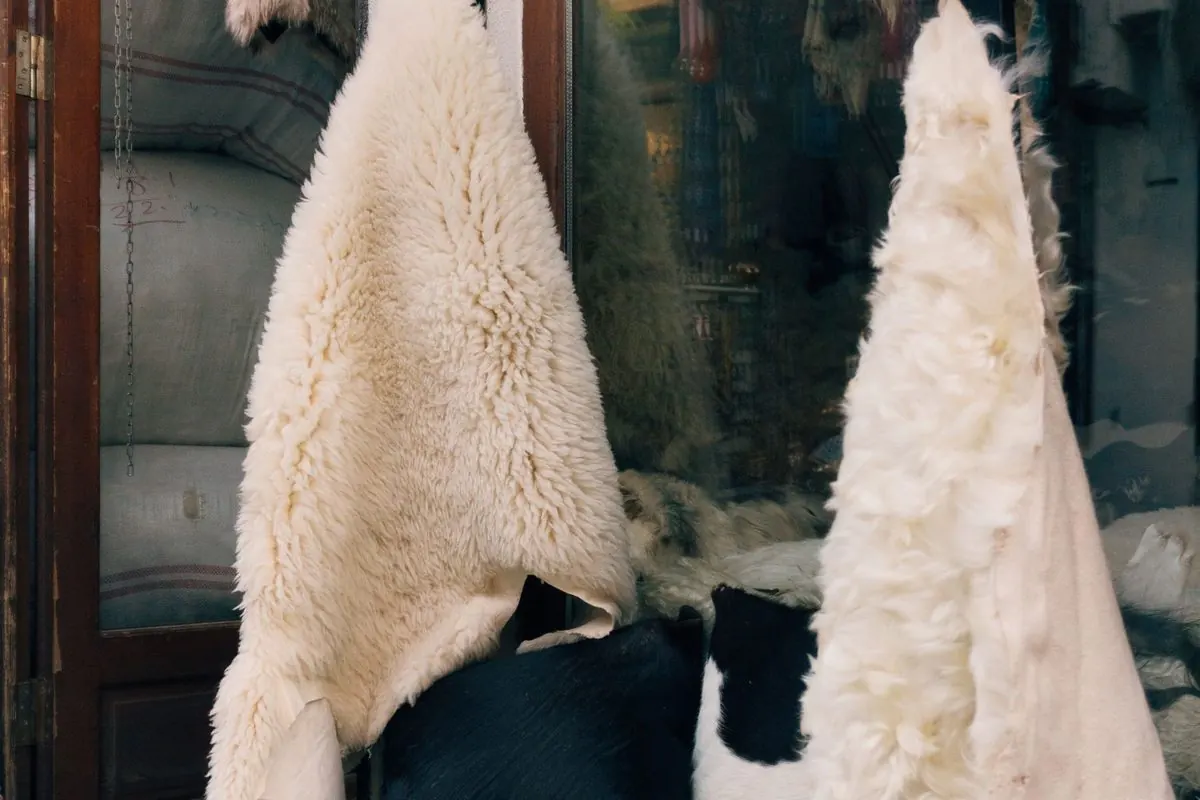 White wool-on sheepskins hanging at a market