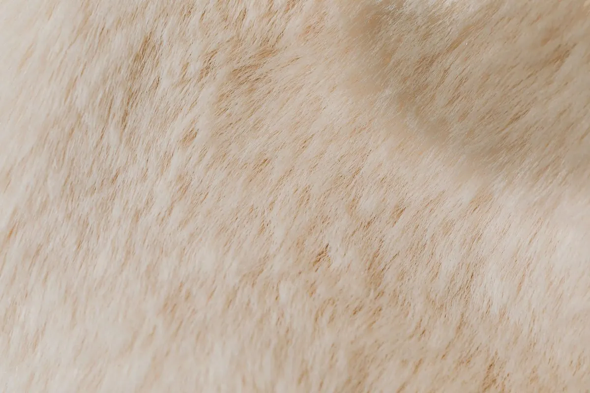 Close-up of soft cream-colored fluffy fur surface