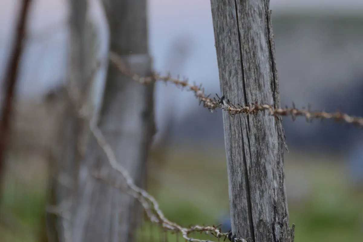 Old round wooden stakes set upright as a fence, bound with barbed wire