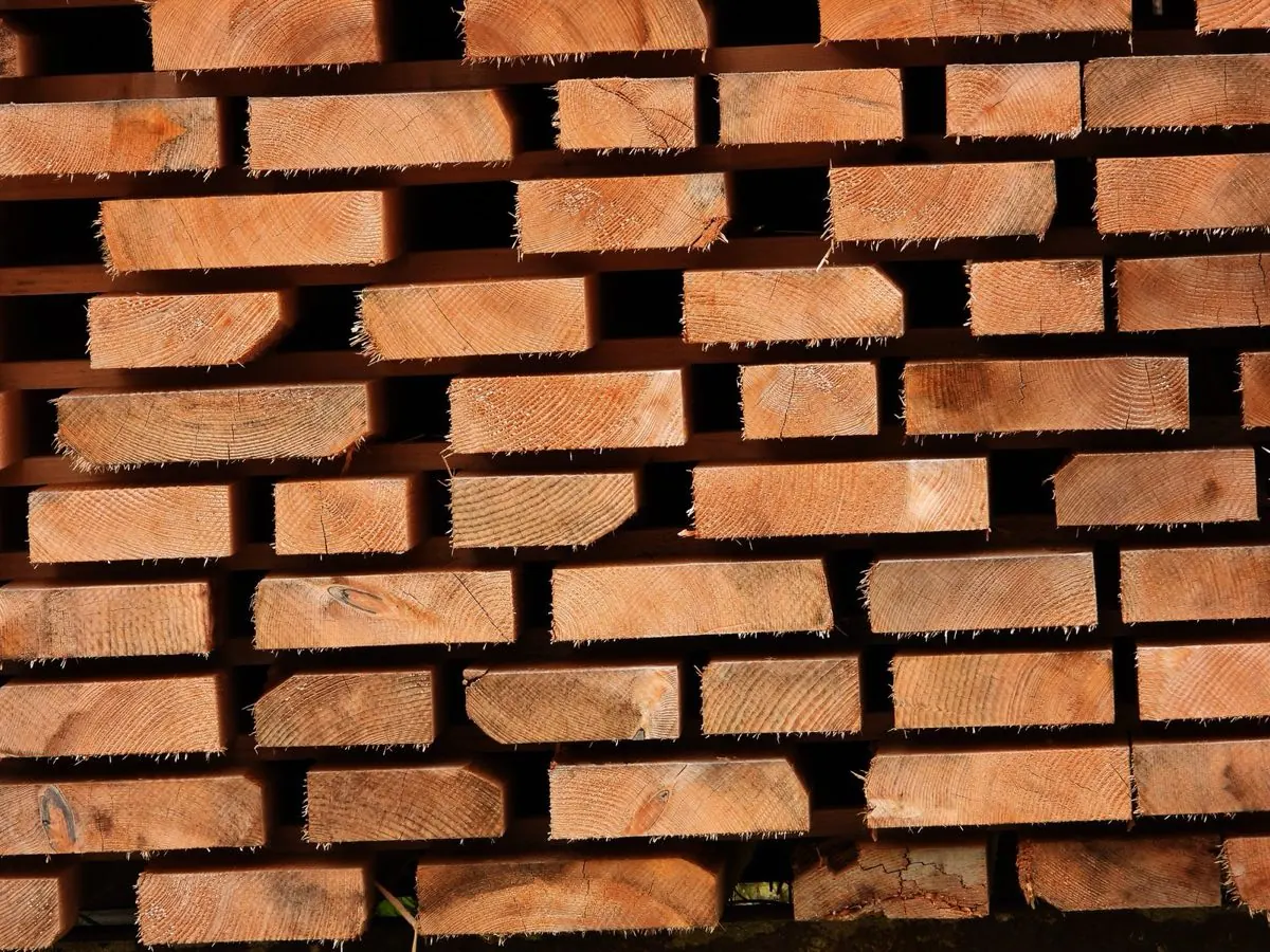 Gỗ thông xẻ xếp lớp trong bãi