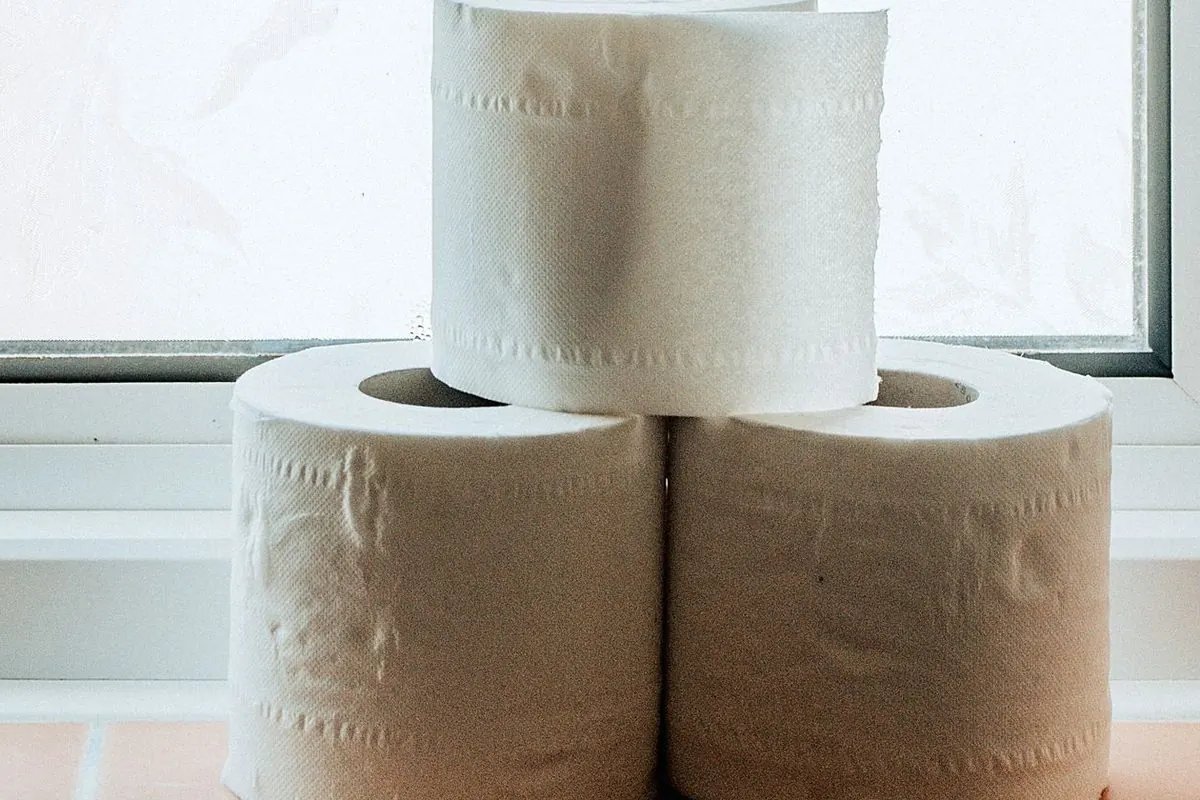 Ba cuộn giấy vệ sinh trắng xếp chồng cạnh cửa sổ