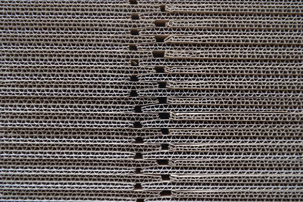 Stack of corrugated cardboard sheets seen from the cut edge