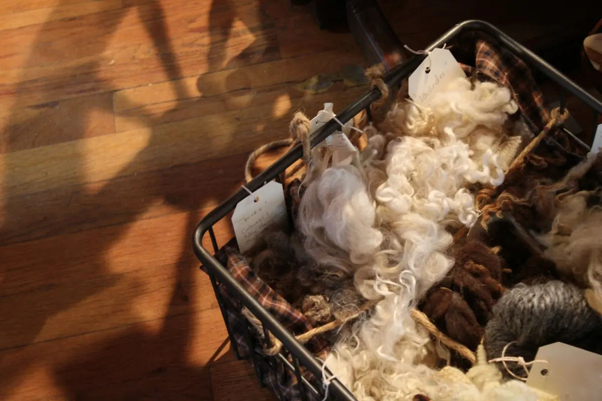 A basket of washed sheep wool locks with paper tags