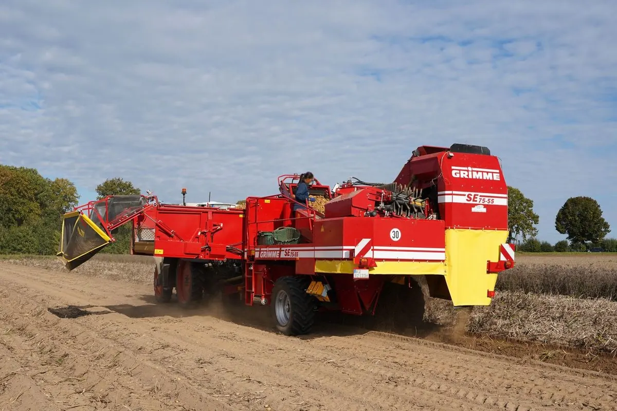 Red potato harvester in a field