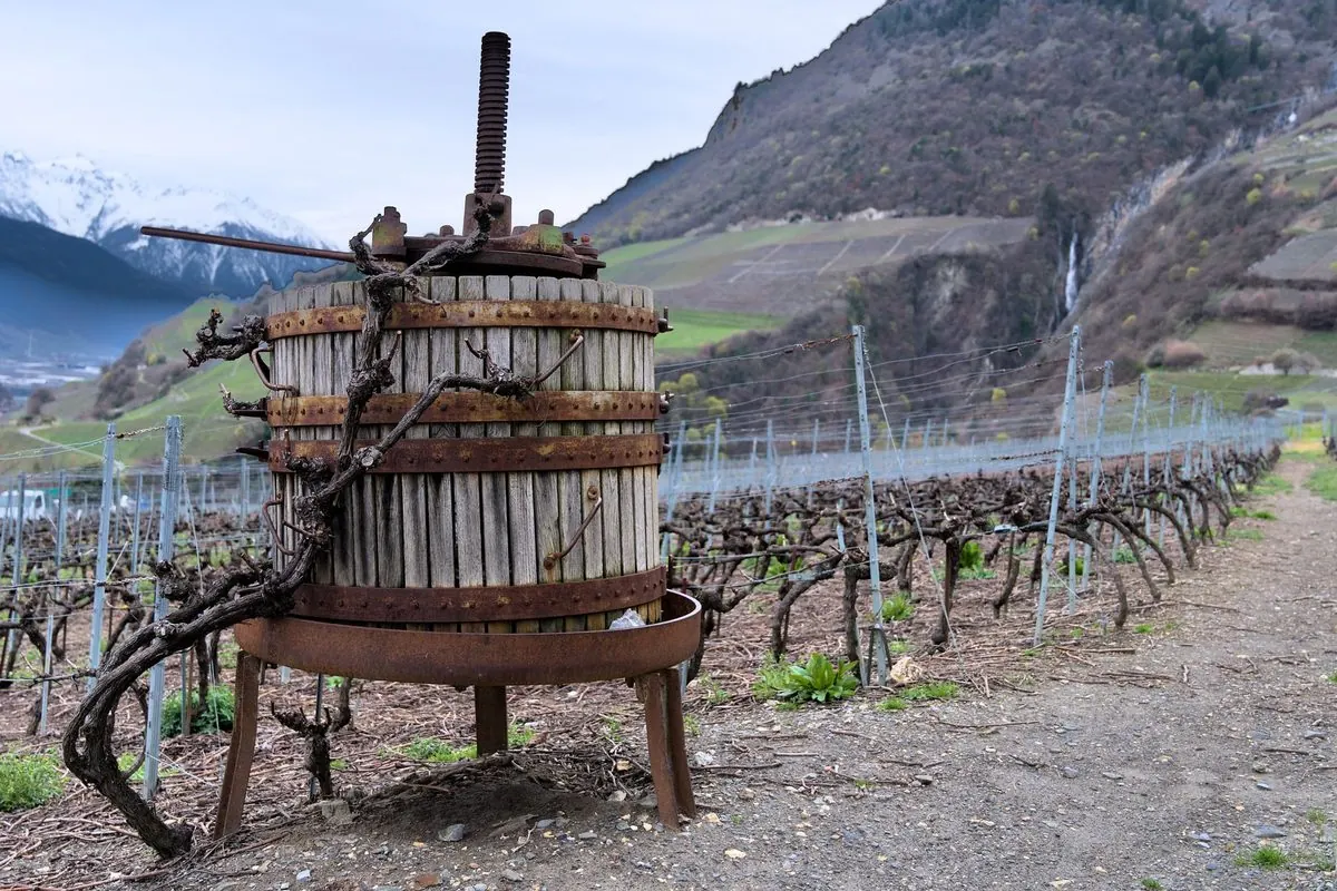 Old wooden and iron grape press in a vineyard