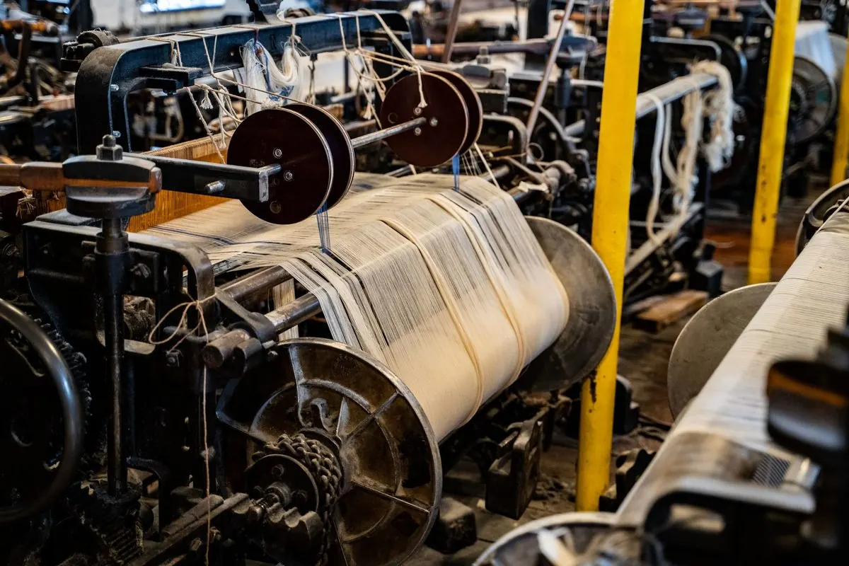 Row of old shuttle looms with white fabric beams