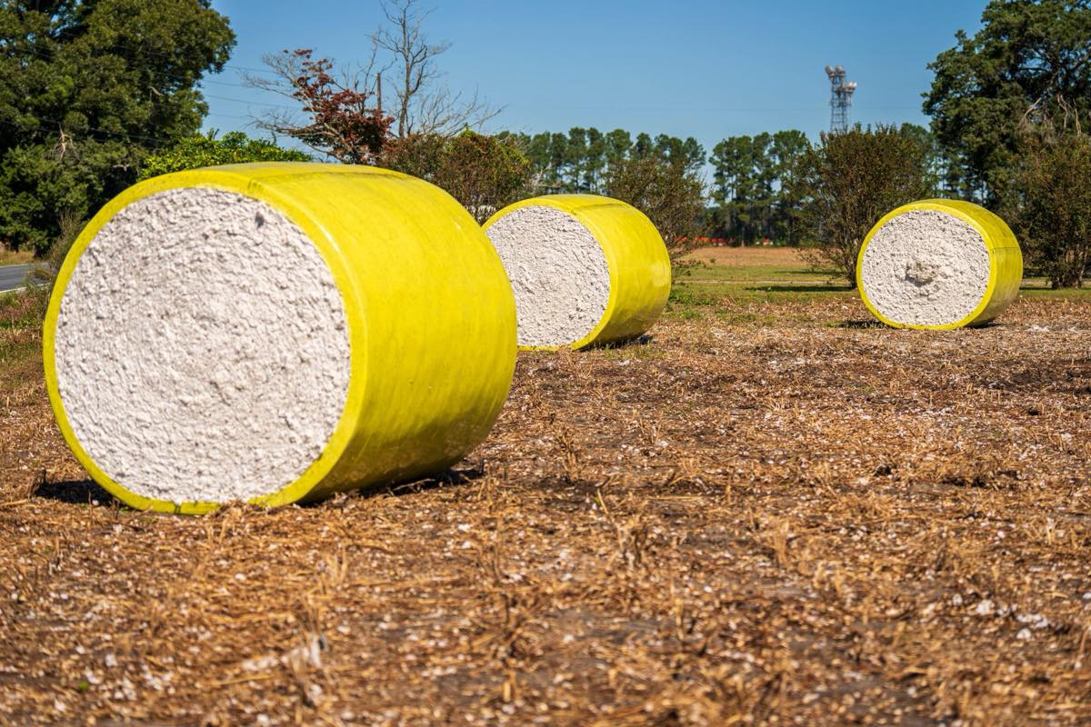 Raw cotton bales wrapped in yellow plastic in a field