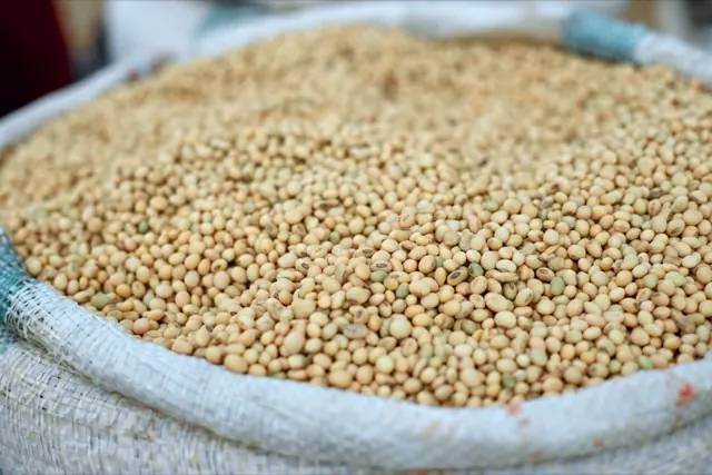 Hạt đậu tương đầy trong bao tải ở chợ