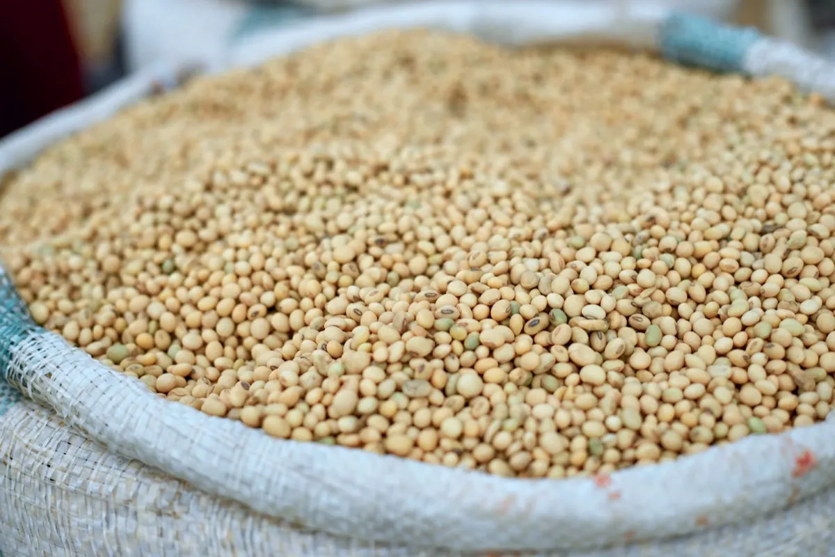 Hạt đậu tương đầy trong bao tải ở chợ
